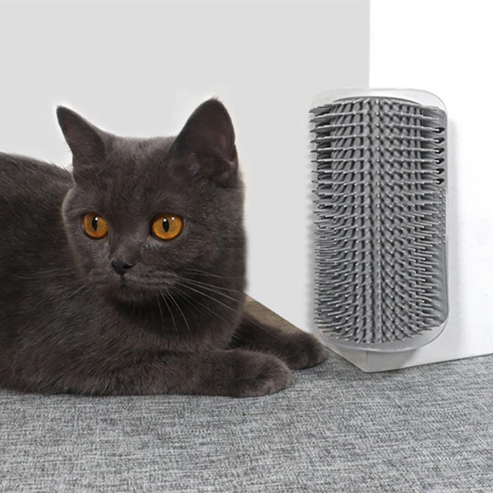 Cat massager brush