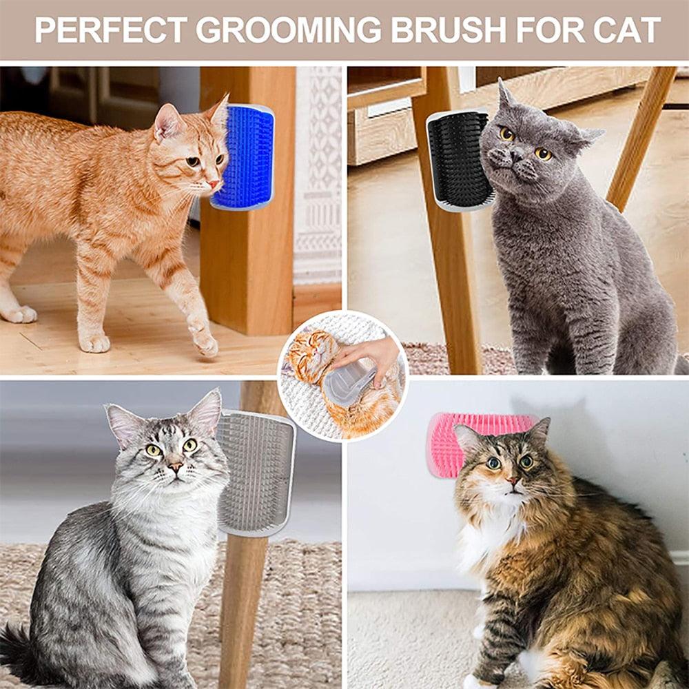 Cat massager brush